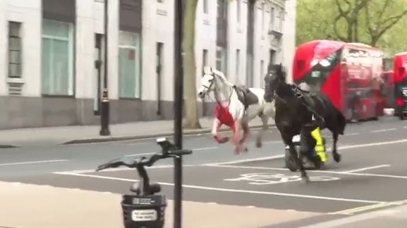 Video: Londýnští policisté chytali v ulicích uprchlé koně královské gardy